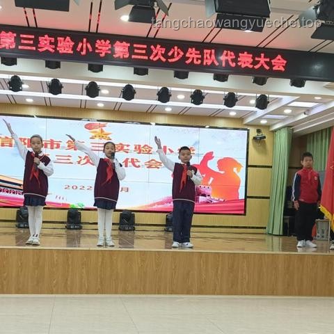 推动少先队事业不断取得新成绩的实用指南